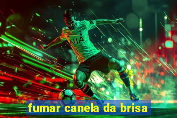 fumar canela da brisa